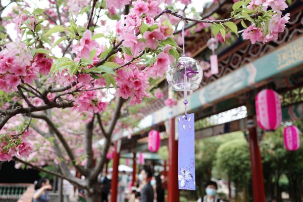 数魅优配 倔强结局：叶三哥和老黄捅破了窗户纸