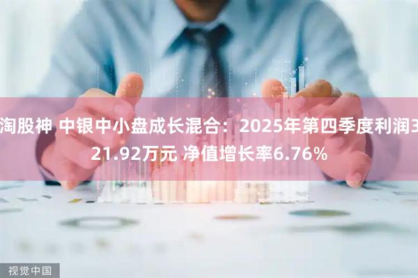 淘股神 中银中小盘成长混合：2025年第四季度利润321.92万元 净值增长率6.76%
